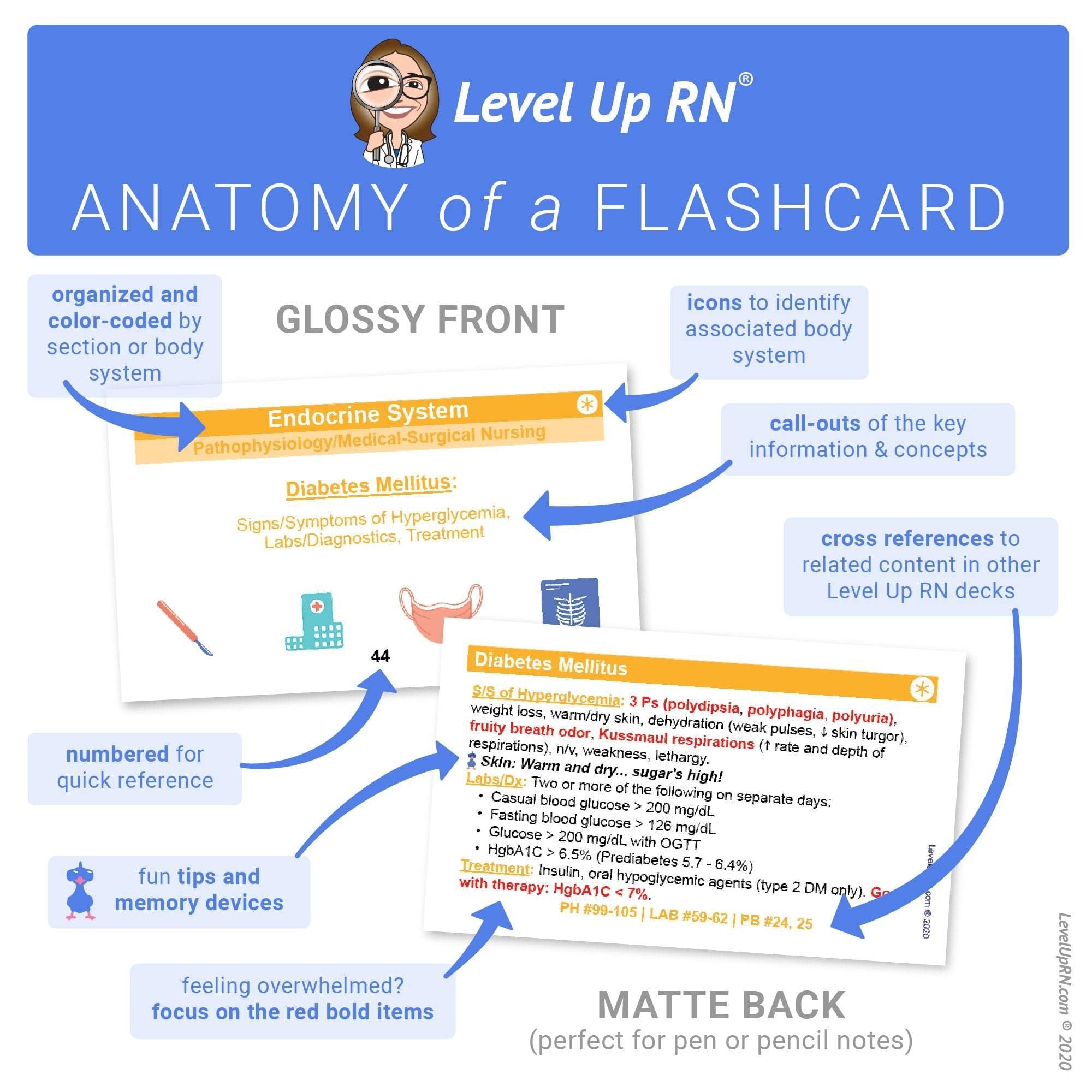 Anatomy of a Flashcard: Matte back (perfect for pen or pencil notes), Glossy front, organized and color-coded by section or body system, call-outs of the key information & concepts, icons to identify associated body system, numbered for quick reference, c