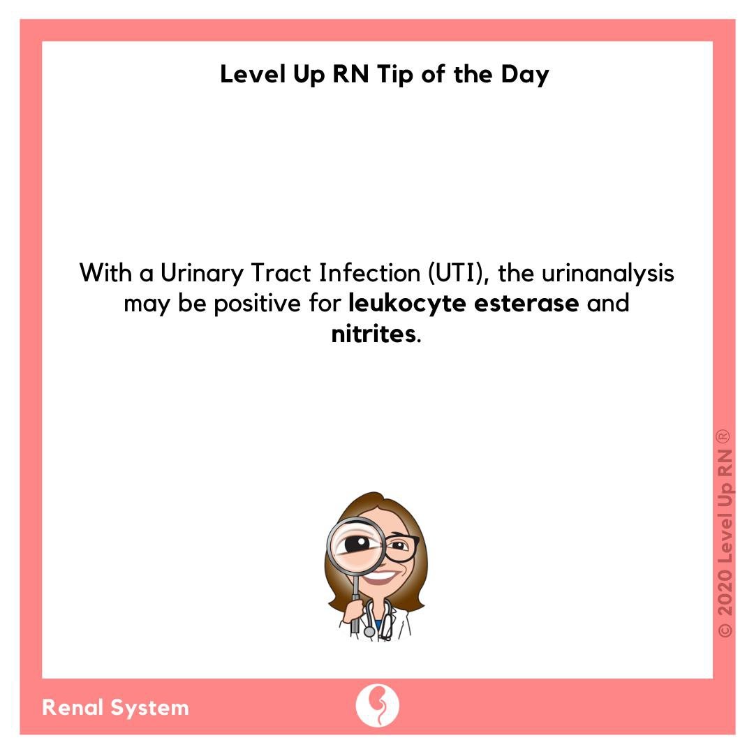 With a Urinary Tract Infection (UTI), the urinanalysis will be positive for leukocyte esterase and nitrites.