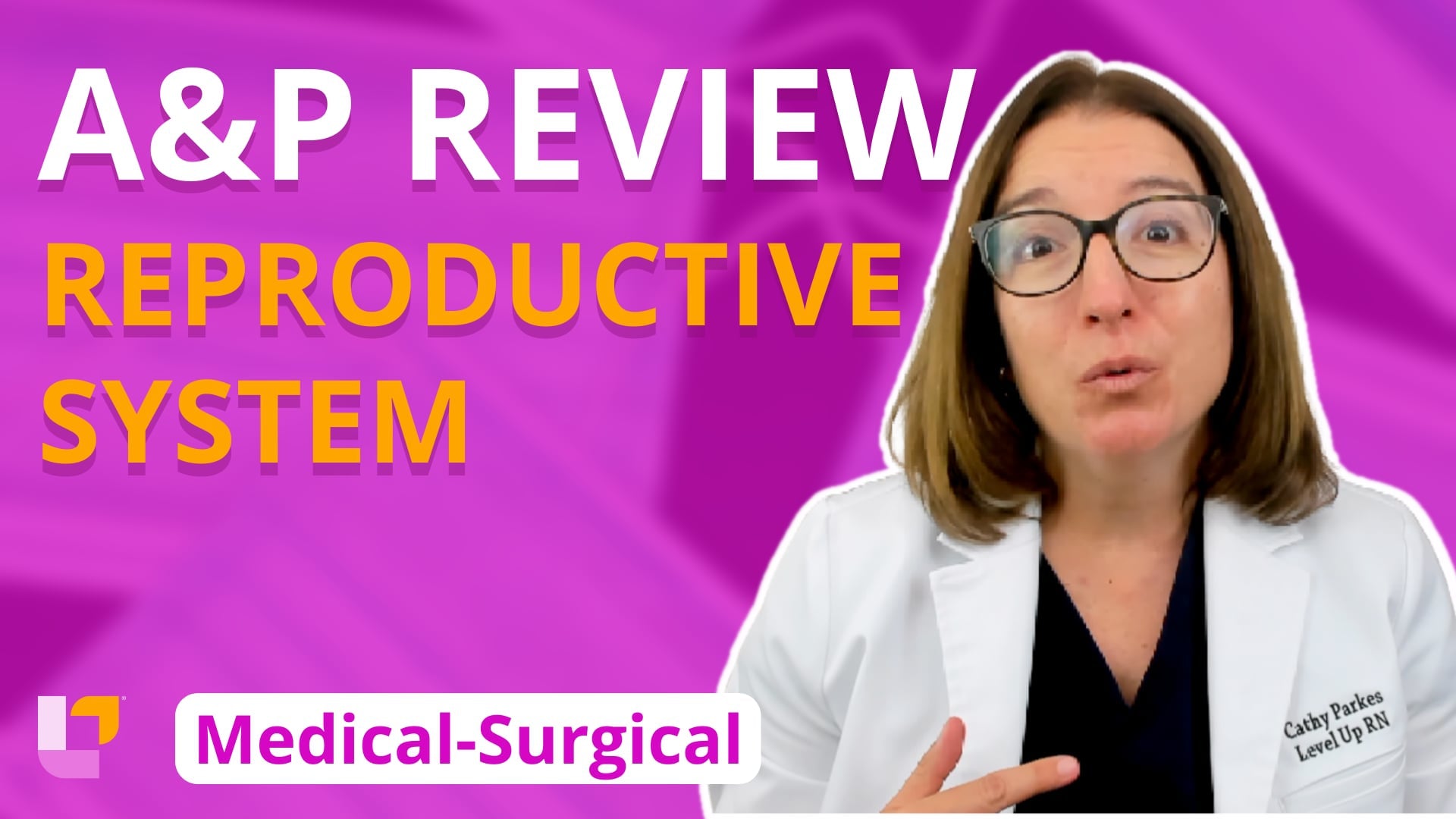 Med-Surg - Reproductive System, part 1: Anatomy & Physiology Review - LevelUpRN