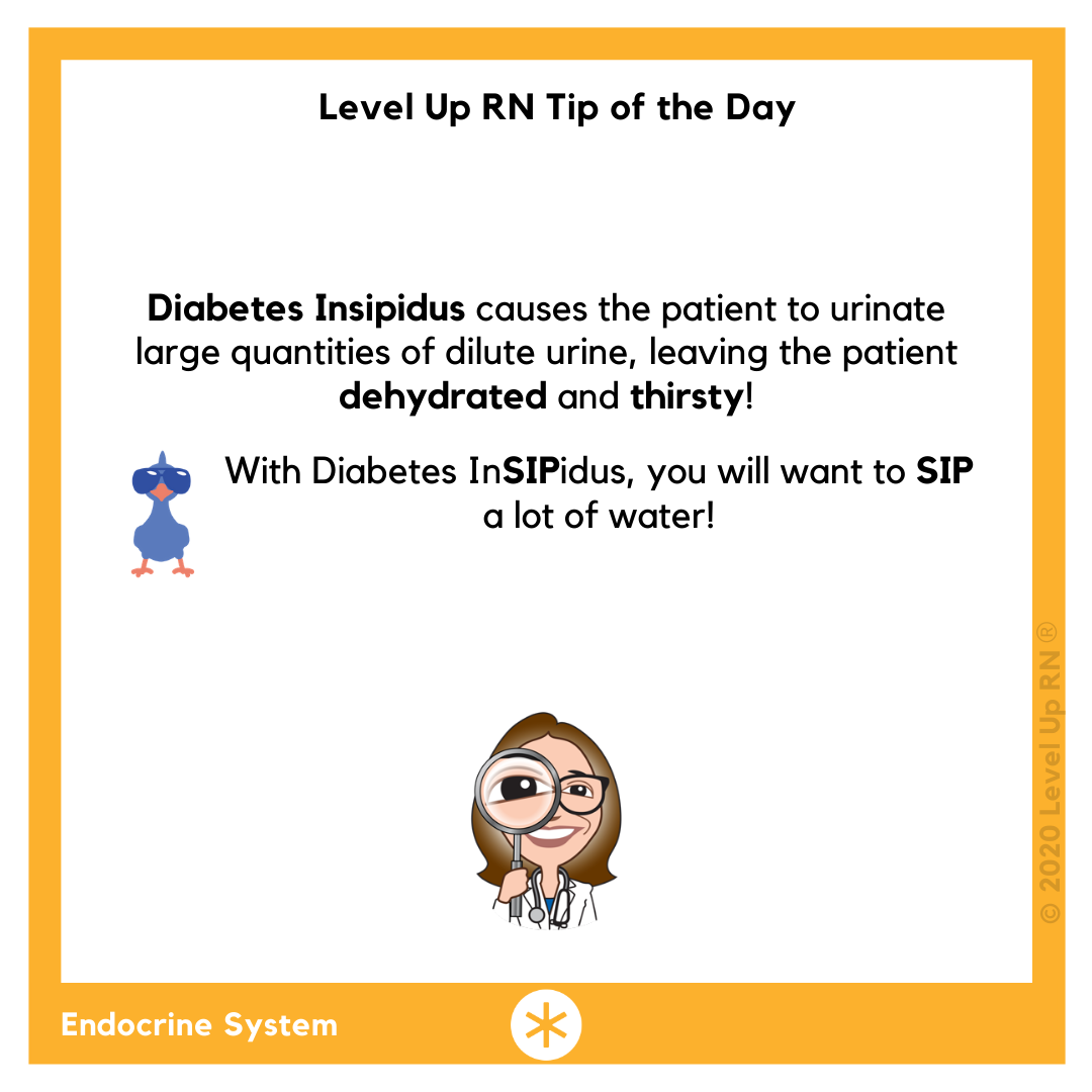With Diabetes InSIPidus, you will want to SIP a lot of water. Diabetes Insipidus causes the patient to urinate large quantities of dilute urine, leaving the patient dehydrated and thirsty!