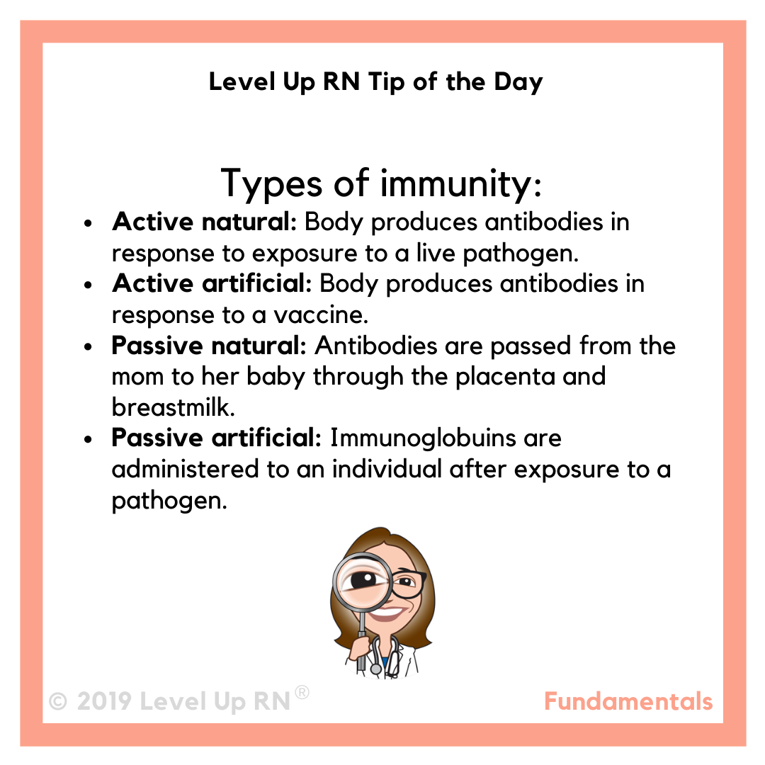 Types of Immunity