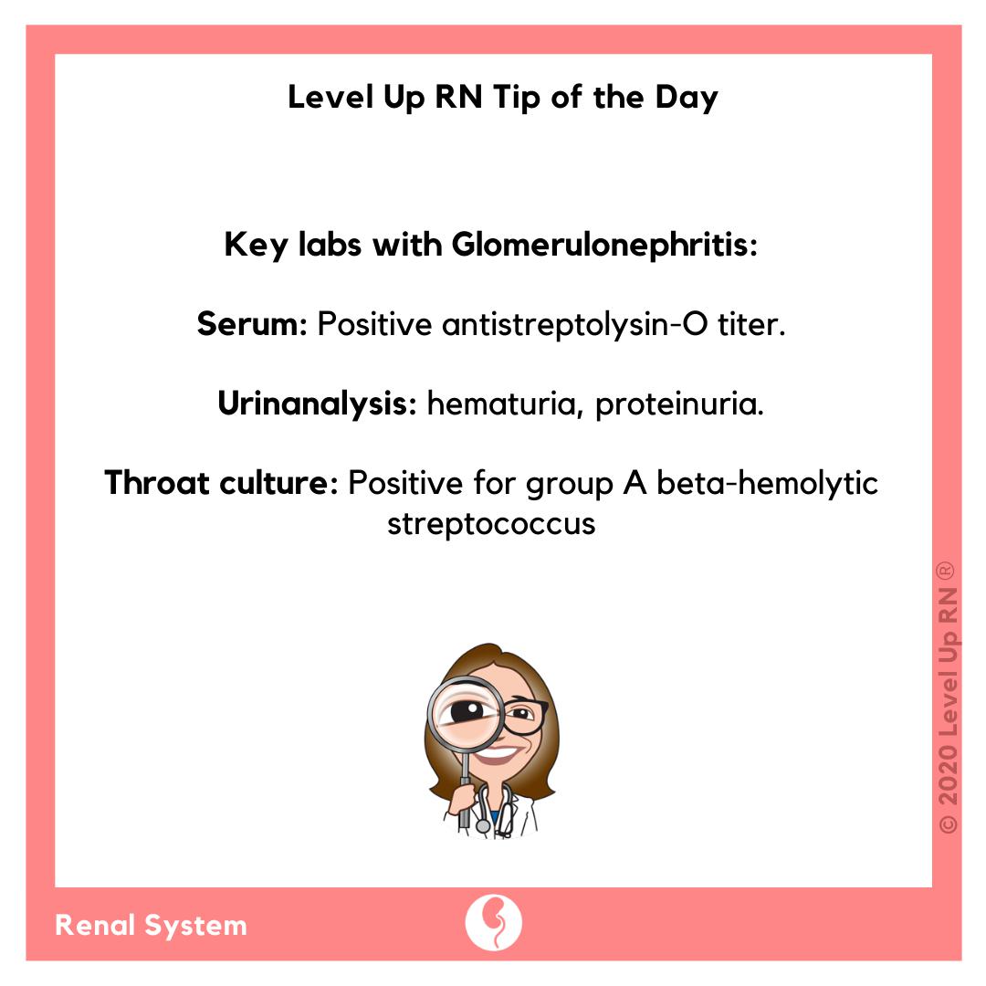 Key labs with Glomerulonephritis: Serum: Positive antistreptolysin-O titer. Urinanalysis: hematuria, proteinuria. Throat culture: Positive for group A beta-hemolytic streptococcus