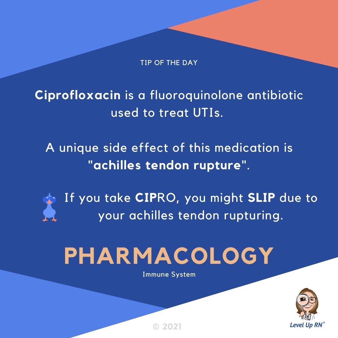 Ciprofloxacin is a fluoroquinolone antibiotic used to treat UTIs. A unique side effect of this medication is "achilles tendon rupture".
HINT: If you take CIPRO, you might SLIP due to your achilles tendon rupturing.