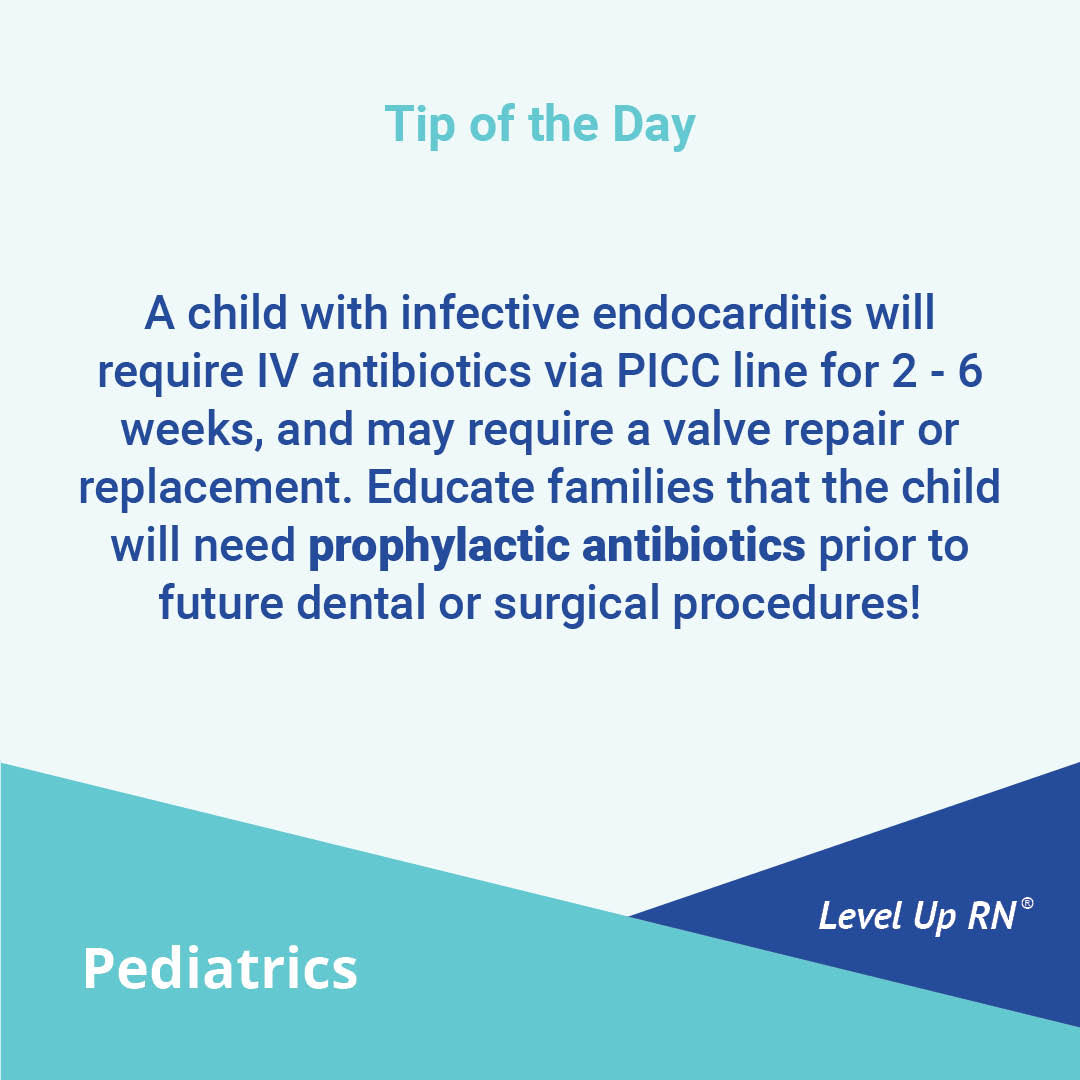 A child with infective endocarditis will require IV antibiotics via PICC line for 2 - 6 weeks, and may require a valve repair or replacement.