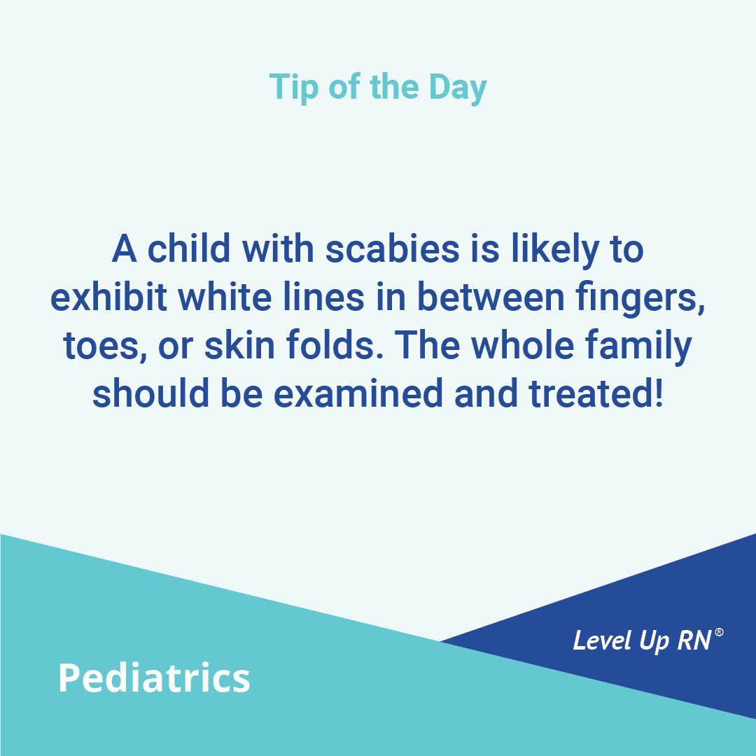 A child with scabies is likely to exhibit white lines in between fingers, toes, or skin folds. The whole family should be examined and treated!