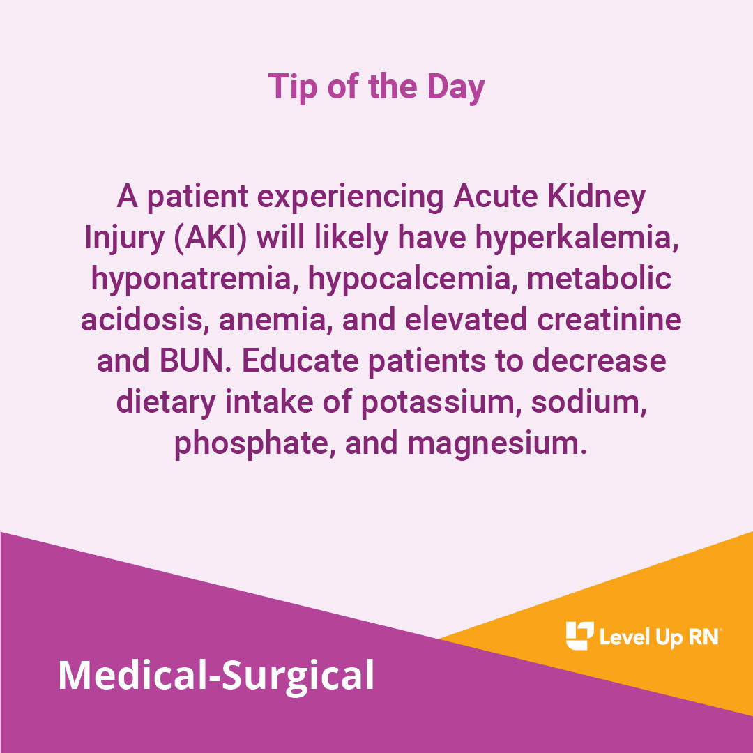 A patient experiencing Acute Kidney Injury (AKI) will likely have hyperkalemia, hyponatremia, hypocalcemia, metabolic acidosis, anemia, and elevated creatinine and BUN.