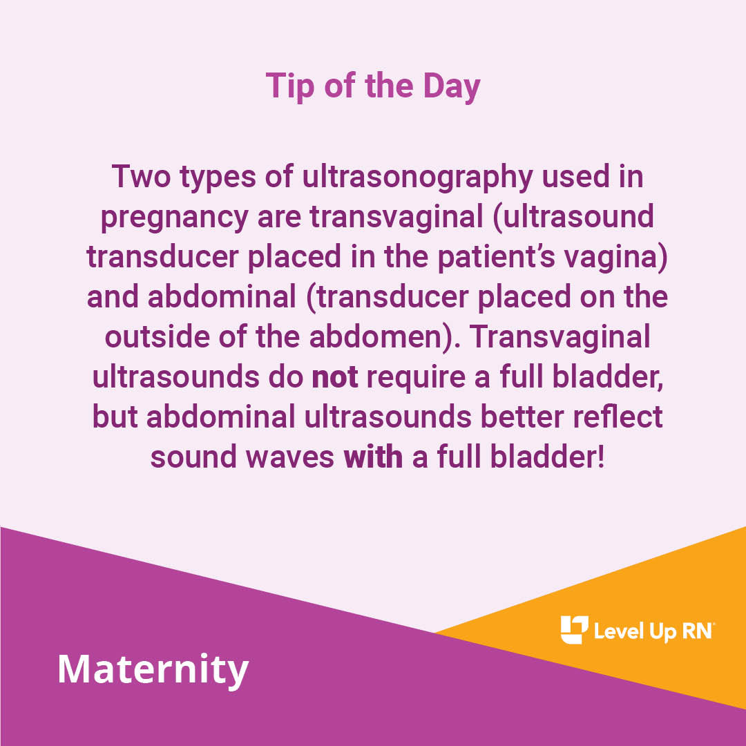 Two types of ultrasonography used in pregnancy are transvaginal (ultrasound transducer placed in the patient's vagina) and abdominal (transducer placed on the outside of the abdomen). 