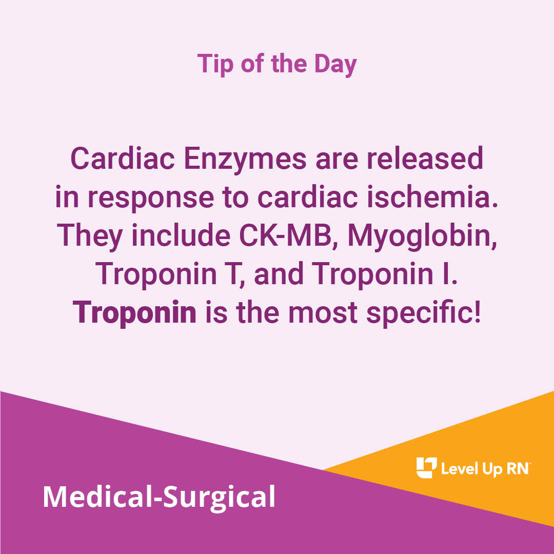 Cardiac Enzymes are released in response to cardiac ischemia. They include CK-MB, Myoglobin, Troponin T, and Troponin I. Troponin is the most specific!