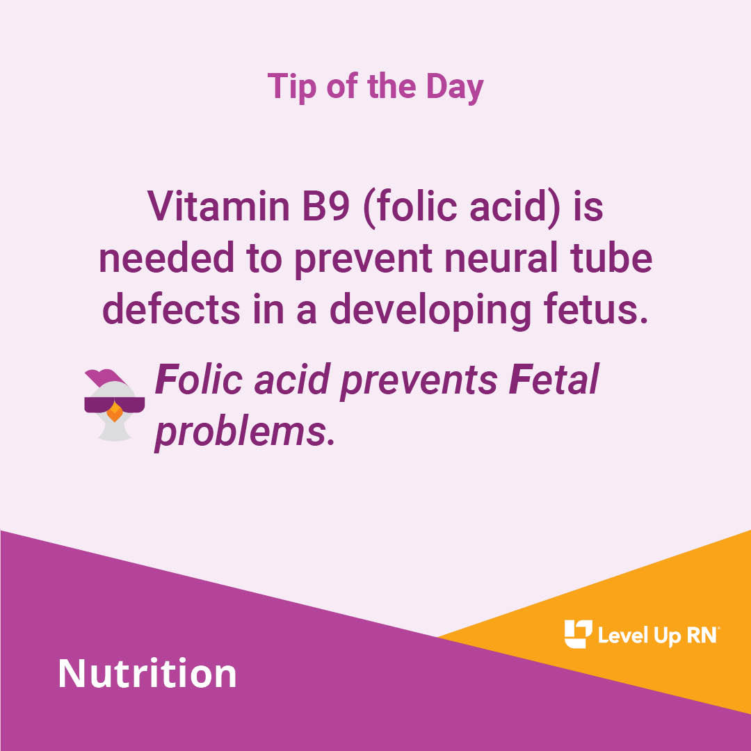 Vitamin B9 (folic acid) is needed to prevent neural tube defects in a developing fetus.