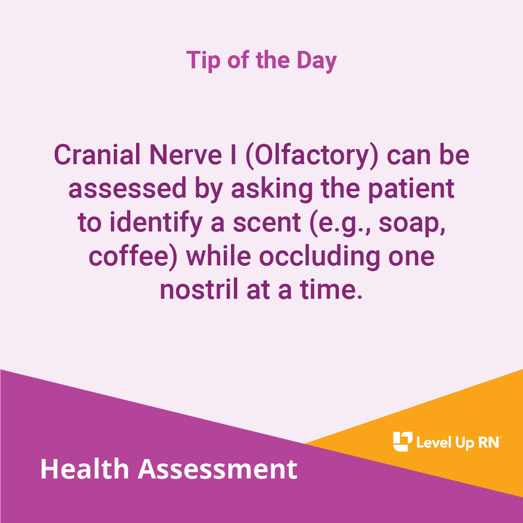 Cranial Nerve I (Olfactory) can be assessed by asking the patient to identify a scent (e.g., soap, coffee) while occluding one nostril at a time.