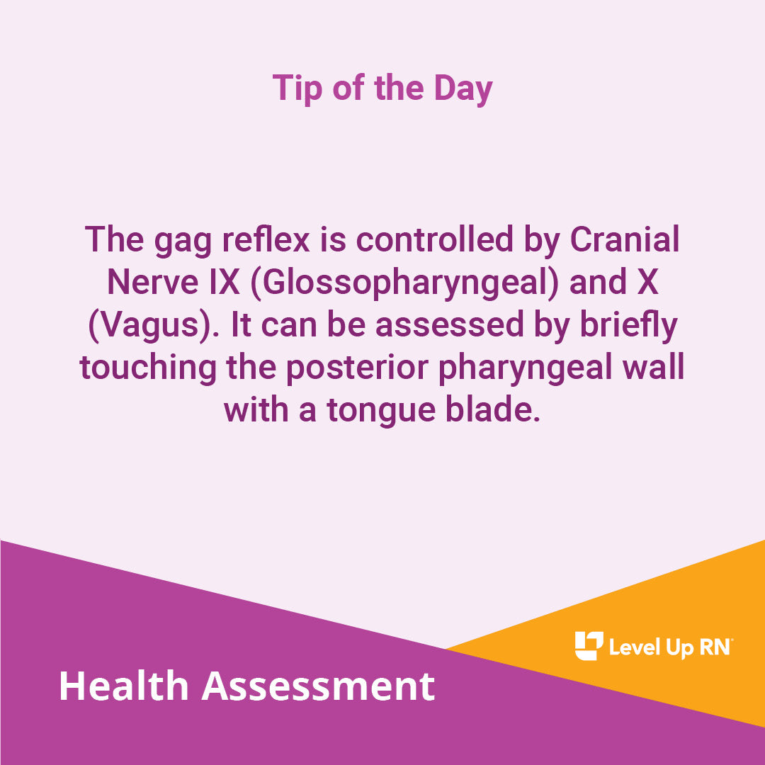 The gag reflex is controlled by Cranial Nerve IX (Glossopharyngeal) and X (Vagus). It can be assessed by briefly touching the posterior pharyngeal wall with a tongue blade.