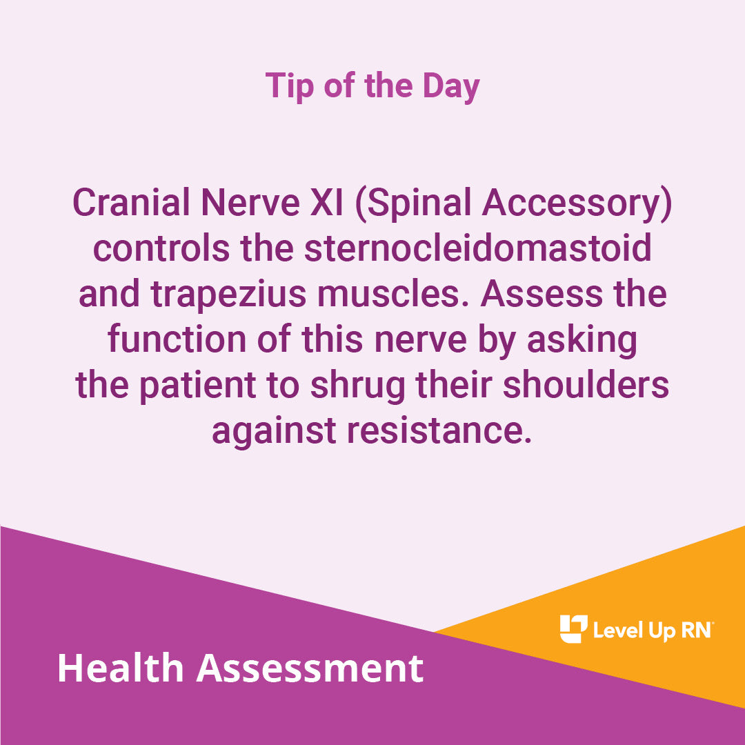 Cranial Nerve XI (Spinal Accessory) controls the sternocleidomastoid and trapezius muscles.
