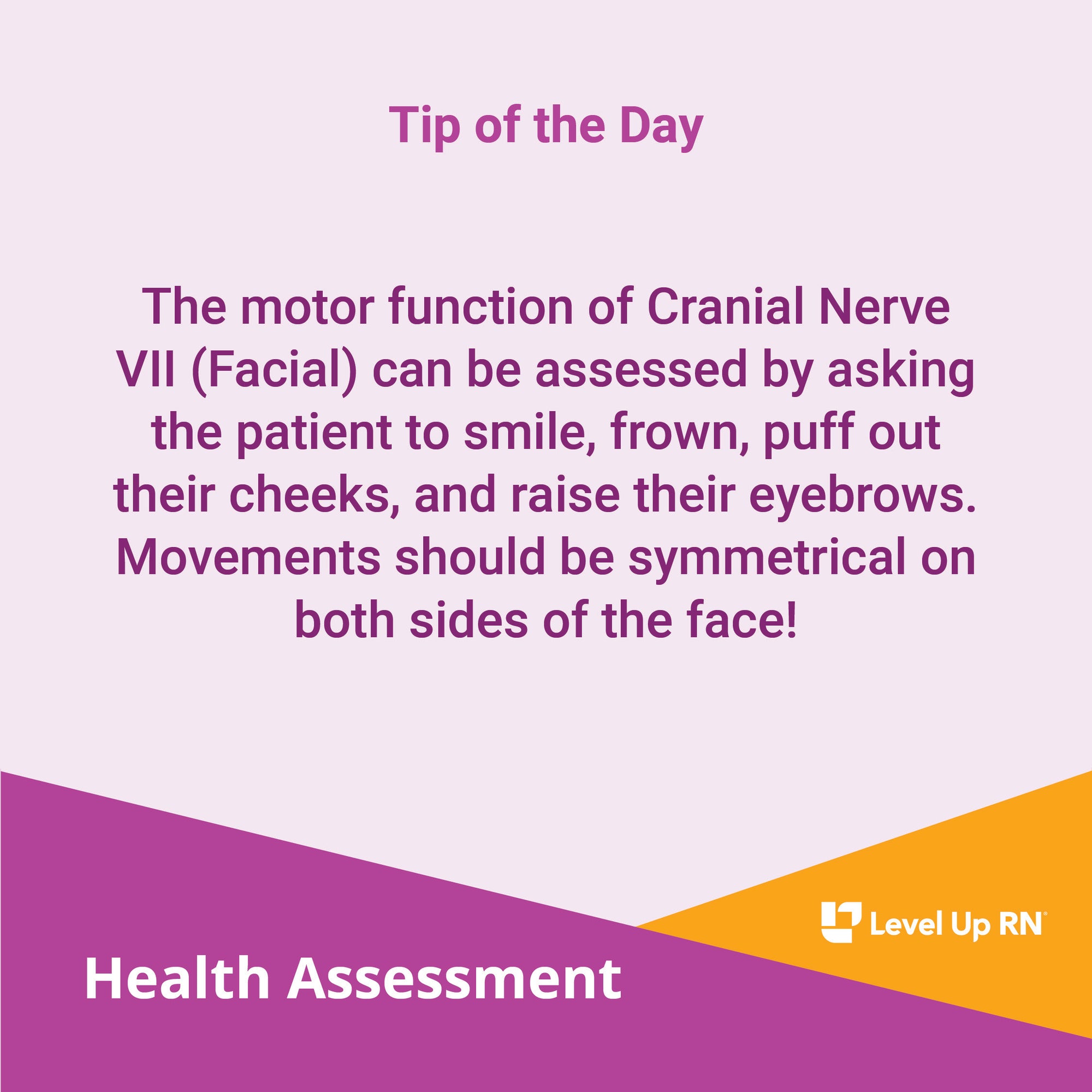 The motor function of Cranial Nerve VII (Facial) can be assessed by asking the patient to smile, frown, puff out their cheeks, and raise their eyebrows.