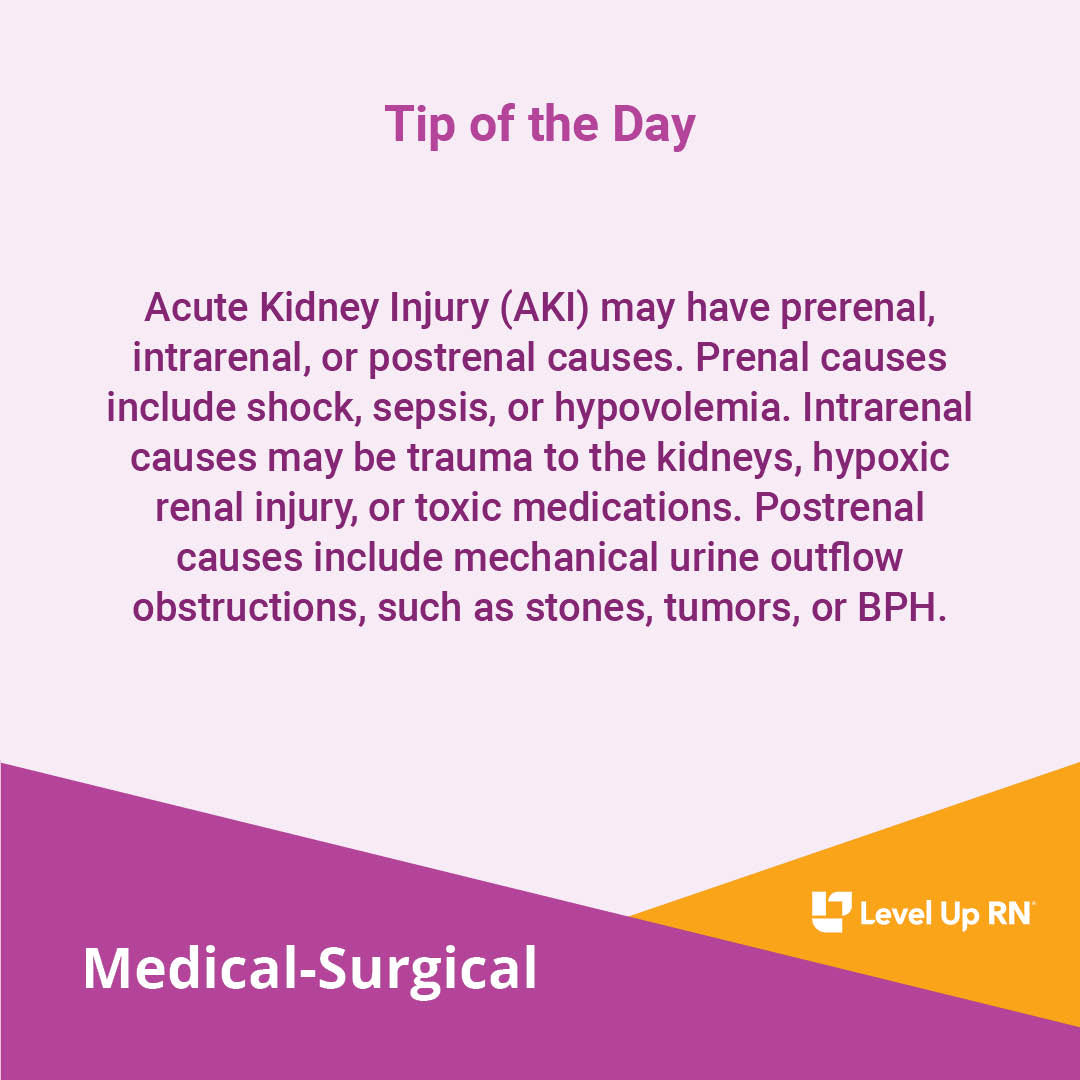 Acute Kidney Injury (AKI) may have prerenal, intrarenal, or postrenal causes.