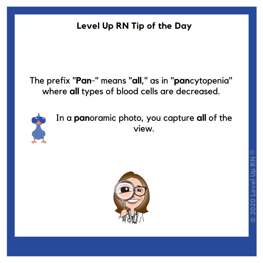 The prefix "Pan-" means "all," as in "pancytopenia" where all types of blood cells are decreased. For example: In a panoramic photo, you capture all of the view.